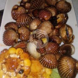 Kerang Dara