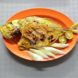 Ikan Putih Bakar Per Ekor