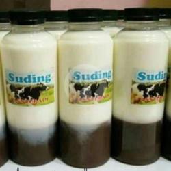 Suding (susu Puding)