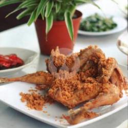 Ayam Pejantan 1 Ekor