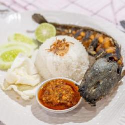 Nasi Lele Terong