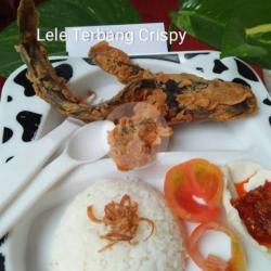 Dobel Nasi Lele Terbang Crispy