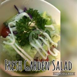 Fresh Garden Salad