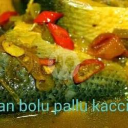 Ikan Bolu Pallu Kacci