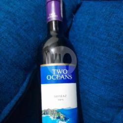 Two Ocean Shiraz 2016