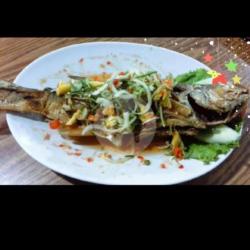 Ikan Senangin Goreng 5 Ons,asam Manis/atau Saos Timun Rp 20.500 X 5 Ons