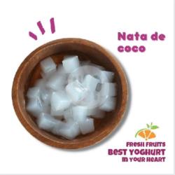 Nata De Coco (1sdm)