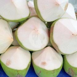 Kelapa Dawegan Utuh ( Papas/kupas)