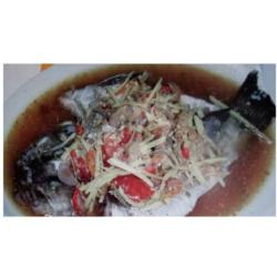 Ikan Tim Kecap