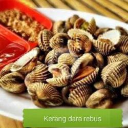 Kerang Darah Rebus