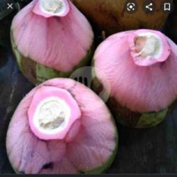 Kelapa Ijo Asli