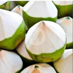 Paket 5 Kelapa Muda Isi Tipis