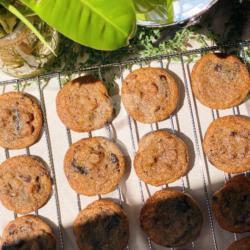 Signature Chocolate Soft Cookies