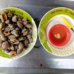 Kerang Dara Rebus