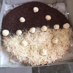 Pizza Coklat Keju Marsmello 20cm