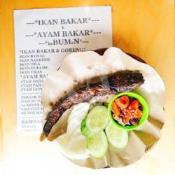 Ikan Lele Bakar