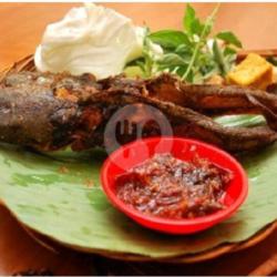 Nasi Ikan Lele Sambal Terasi