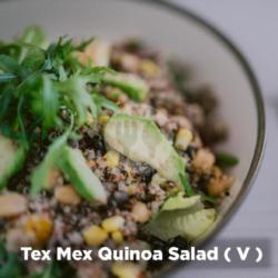 Tex Mex Quinoa Salad Mix Gf-v