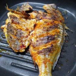 Ikan Ekor Kuning Bakar   Sambal   Lalapan   Es Teh