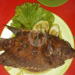 Ikan Nila Lada Hitam