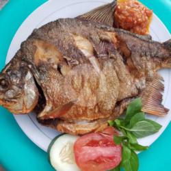 Ikan Bawal Panggang Free Sambal