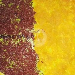 Keju Nanas Coklat Susu