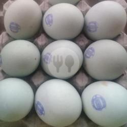 Telor Asin