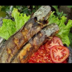 Lele Goreng Sambal Trasi