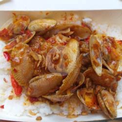 Oseng Kerang Pedas   Nasi