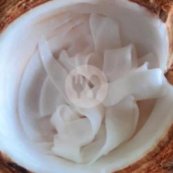 Kelapa Muda Isi Sedang Dikerok