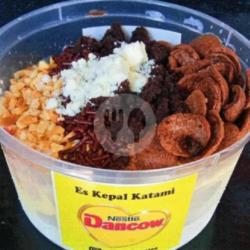 Es Kepal Dancow Vanilla 1000ml