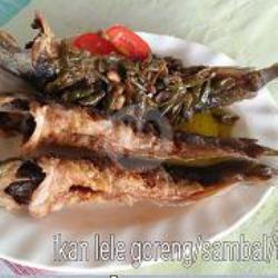 Ikan Lele Goreng / Sambal / Tauco