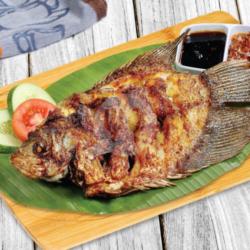 Ikan Gurami Bakar Sedang