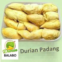 Durian Kupas Padang Ukuran Besar