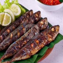 Ikan Salem Bakar