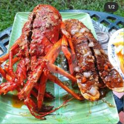 Lobster Super Besar