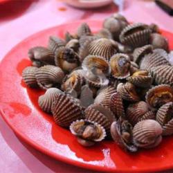 Kerang Dara Saos Tiram/padang