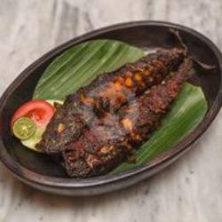 Lele Bakar Taliwang / Jimbaran