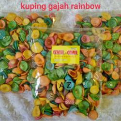 Kuping Gajah Rainbow