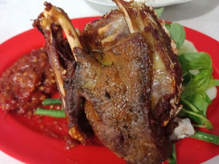 78 Gambar Bebek Ayam Burung Dara Gratis Terbaik