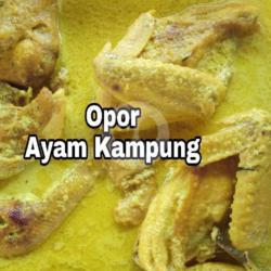 Opor Ayam Kampung (asli)