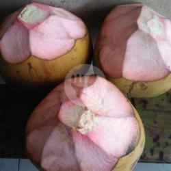 Kelapa Ijo Super Besar