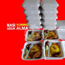 Nasi Kuning Ayam Goreng/panggang