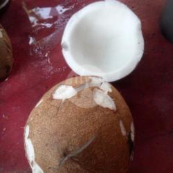 Kelapa Parut