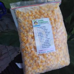 Jagung Pipil Manis