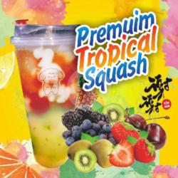 Premium Tropical Fruits Soda Squash