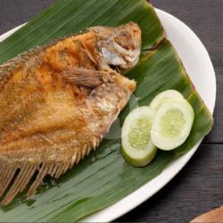 Gurame Goreng Kering