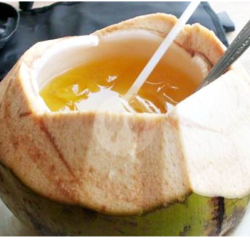 Kelapa Bulet Jeruk