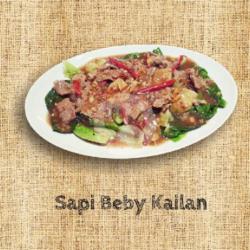 Sapi Beby Kailan (kecil)