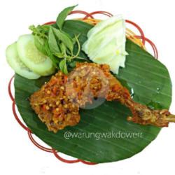 Ayam Dower Merah / Hijau